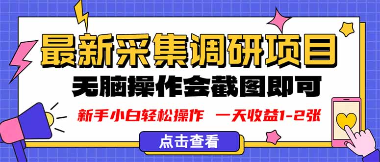 新版采集调研项目，截图上传即可，无脑操作，日收益1-2张-kaixinyz