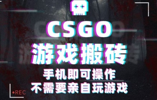 CSGO游戏挂G捡漏，单日扫货5张+，年底小高峰上车可吃肉，手机即可操作，兼职副业创业网创【揭秘】-kaixinyz