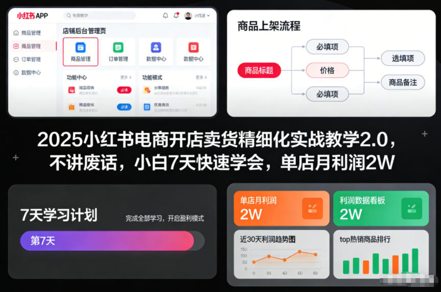 2025小红书电商开店卖货精细化实战教学2.0，不讲废话，小白7天快速学会，单店月利润2W-kaixinyz