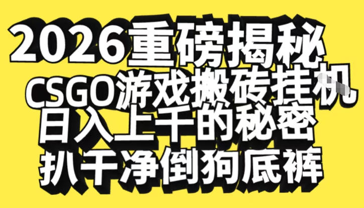 2026开年重磅解密，CSGO游戏搬砖挂G日入1k+的秘密，把倒狗的底裤扒干【揭秘】-kaixinyz