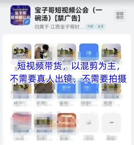 宝子哥头部团队短视频带货，以混剪为主，不需要真人出镜，不需要拍摄【更新11月】-kaixinyz
