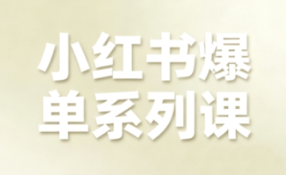 小红书爆单系列课，聚焦小红书电商全链路增长(更新)-kaixinyz