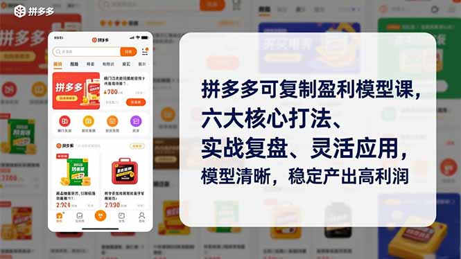 拼多多可复制盈利模型课，六大核心打法、实战复盘、灵活应用，模型清晰，稳定产出高利润-kaixinyz