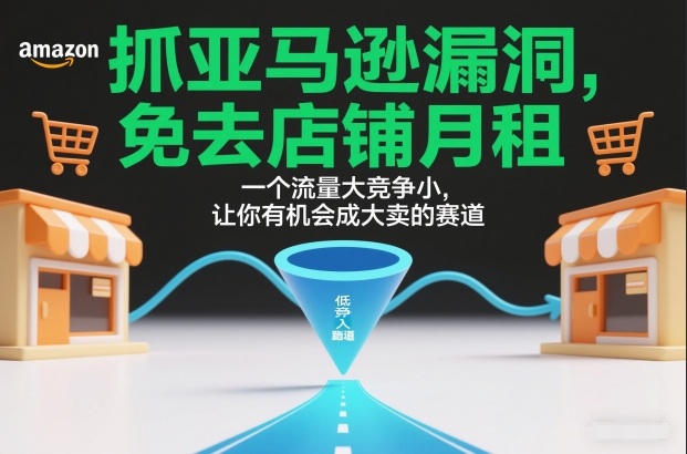 抓亚马逊漏洞，免去店铺月租，一个流量大竞争小，让你有机会成大卖的赛道-kaixinyz